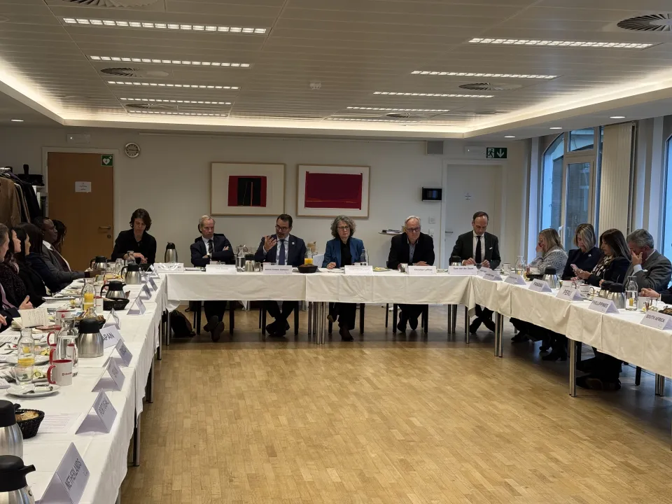 Strengthening Democratic Resilience through Inclusion: Anniversary Meeting of International IDEA’s Member States in Brussels